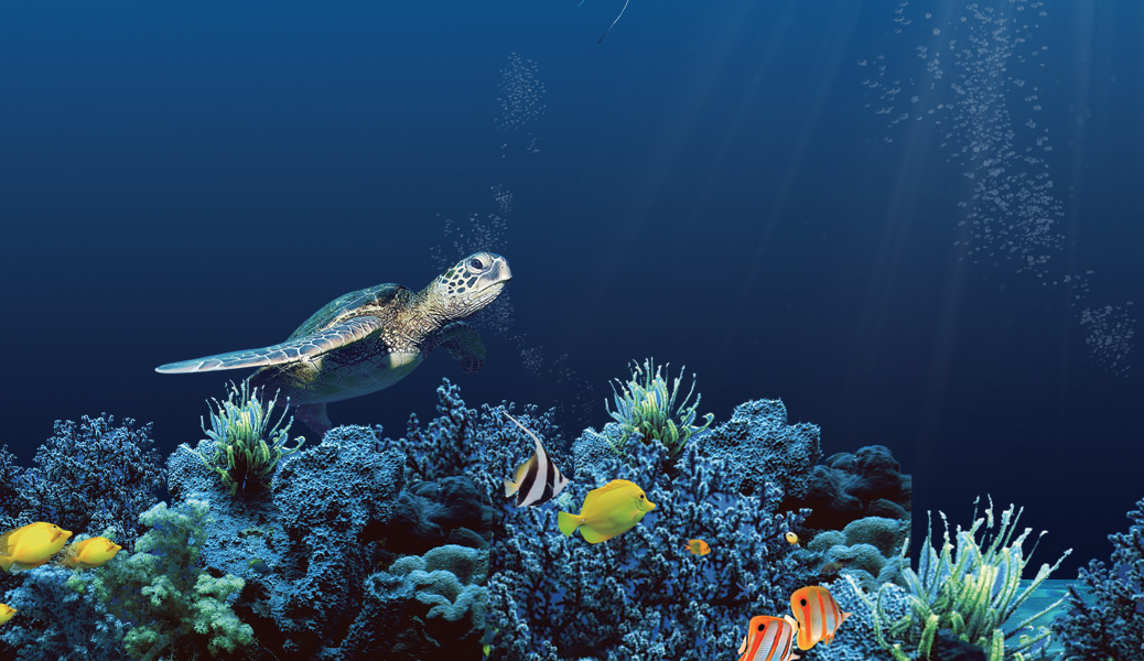 1734786940104240.jpg cpxq1.jpg